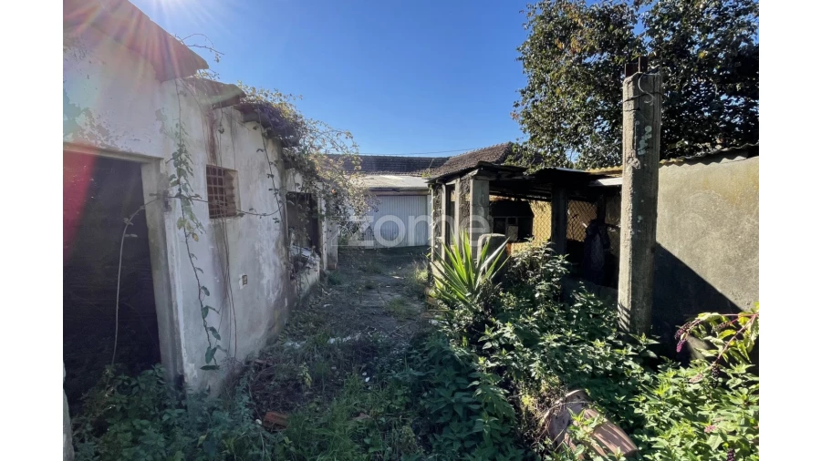 Terreno para Venda em Rio Tinto Foto 13