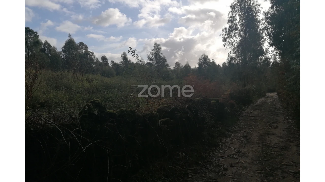 Terreno para Venda em Nine Foto 14