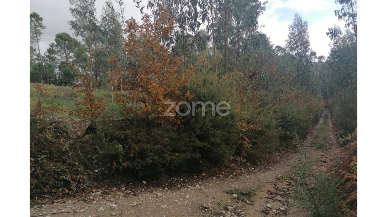 Terreno para Venda em Nine Foto 15