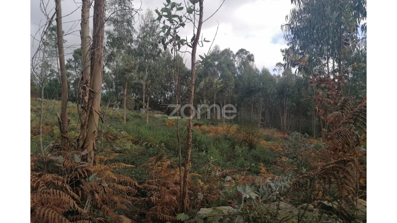 Terreno para Venda em Nine Foto 17