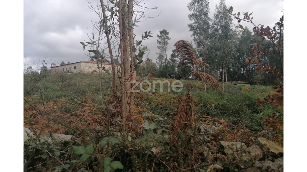 Terreno para Venda em Nine Foto 19