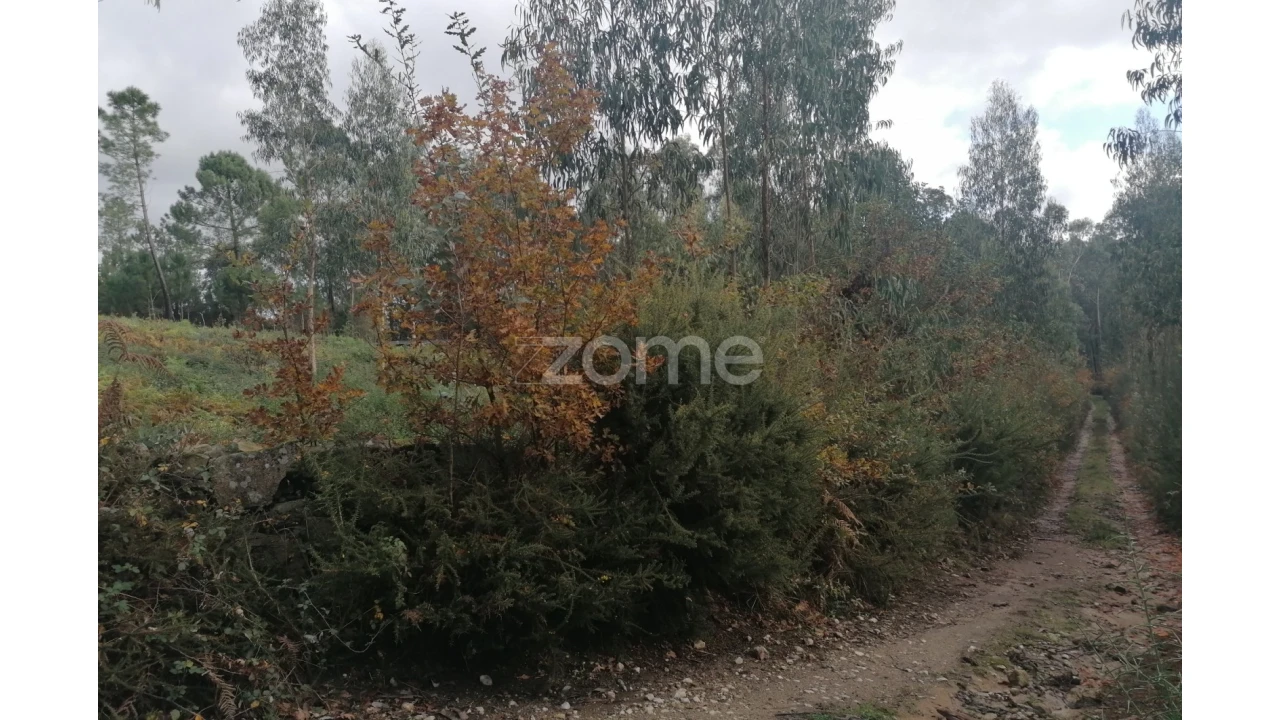 Terreno para Venda em Nine Foto 20