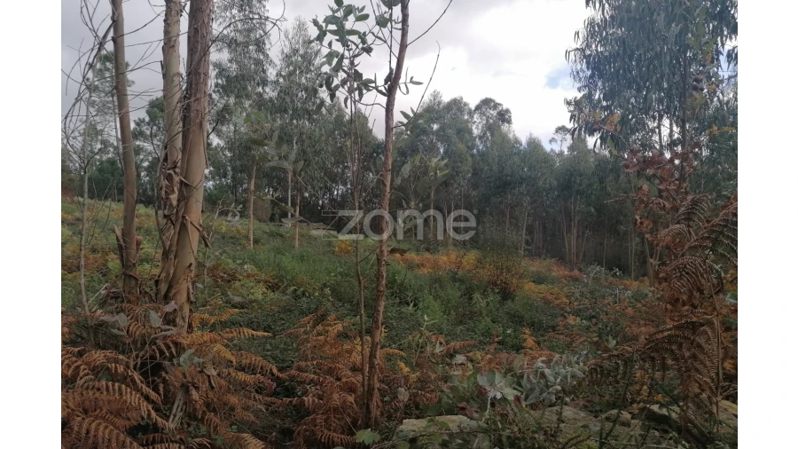 Terreno para Venda em Nine Foto 17