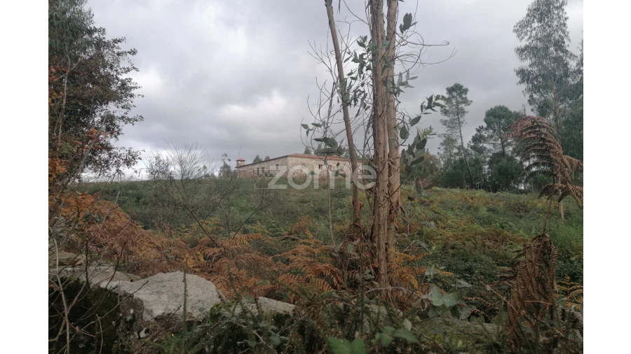 Terreno para Venda em Nine Foto 18