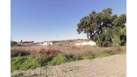 Terreno para Venda em Nelas