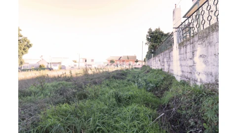 Terreno para Venda em Nelas