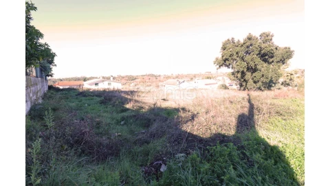 Terreno para Venda em Nelas