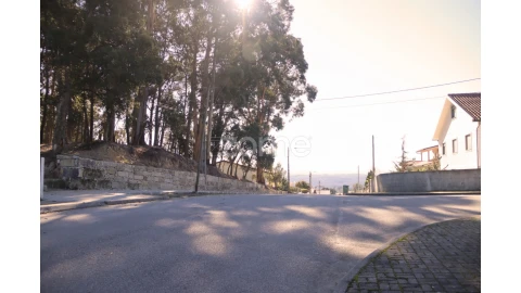 Terreno para Venda em Nelas