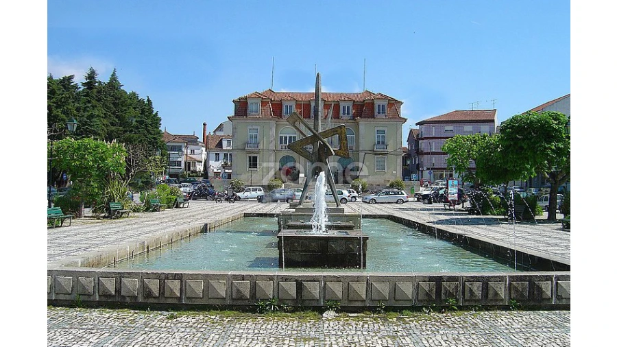 Terreno para Venda em Nelas Foto 13