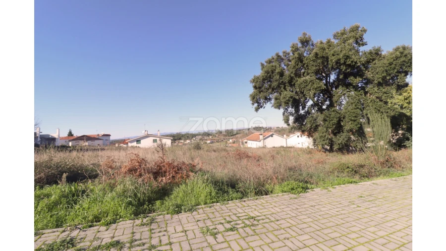 Terreno para Venda em Nelas Foto 5