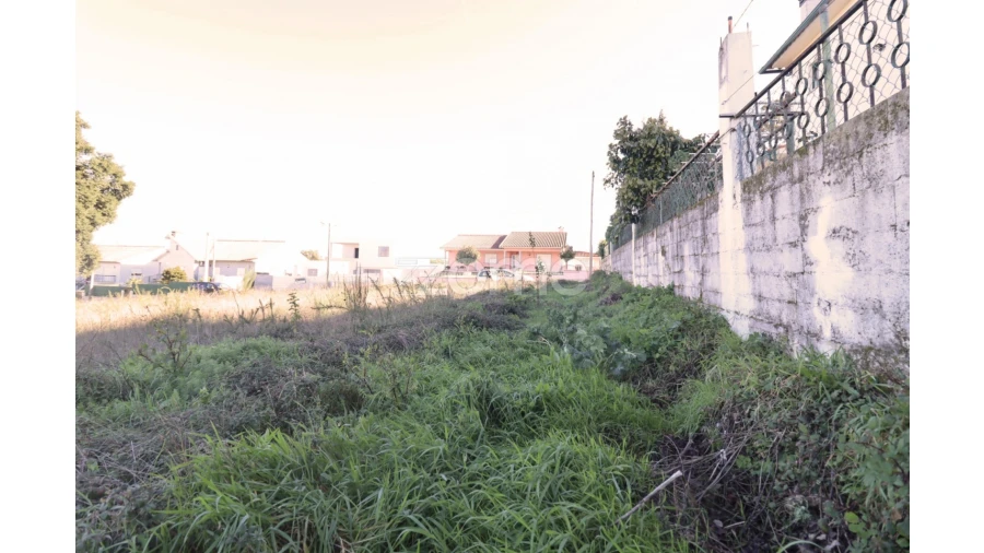 Terreno para Venda em Nelas Foto 7