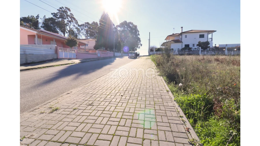 Terreno para Venda em Nelas Foto 6
