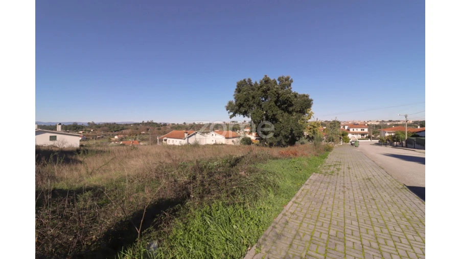 Terreno para Venda em Nelas Foto 9