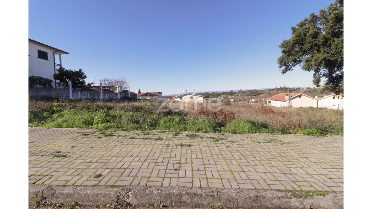 Terreno para Venda em Nelas Foto 4