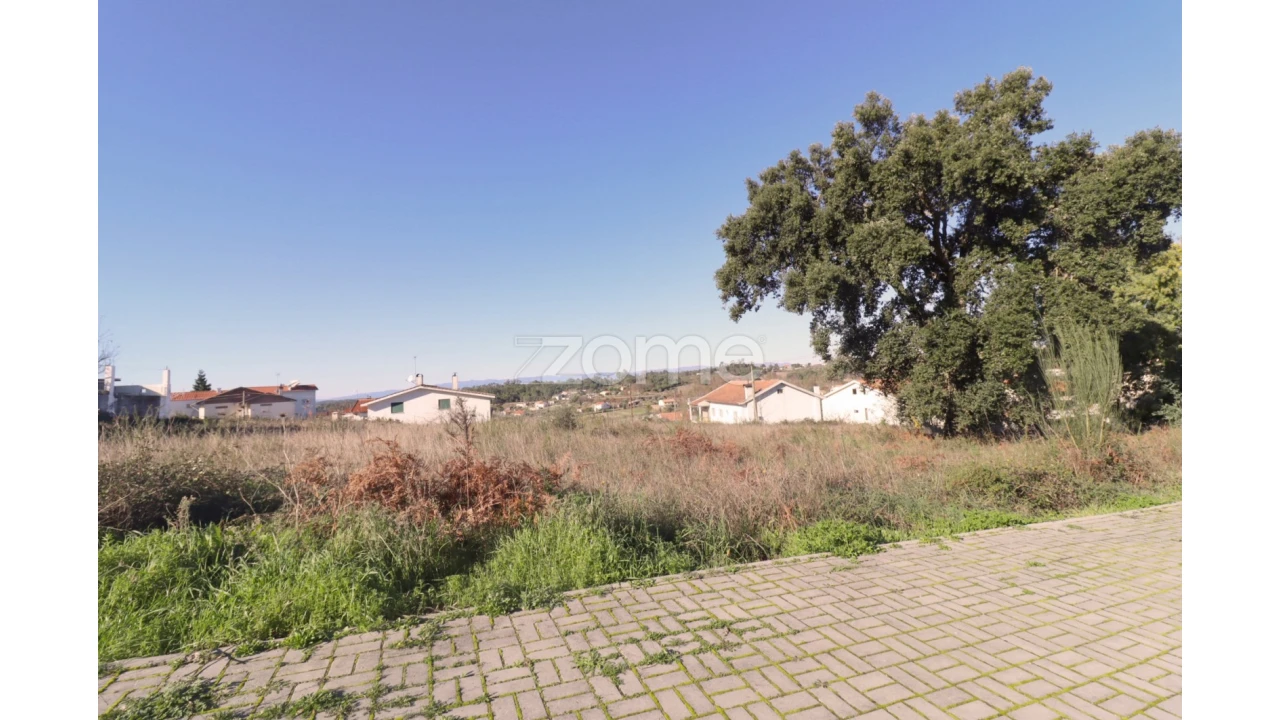 Terreno para Venda em Nelas Foto 5