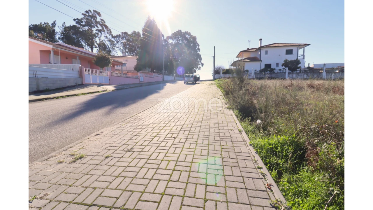 Terreno para Venda em Nelas Foto 6