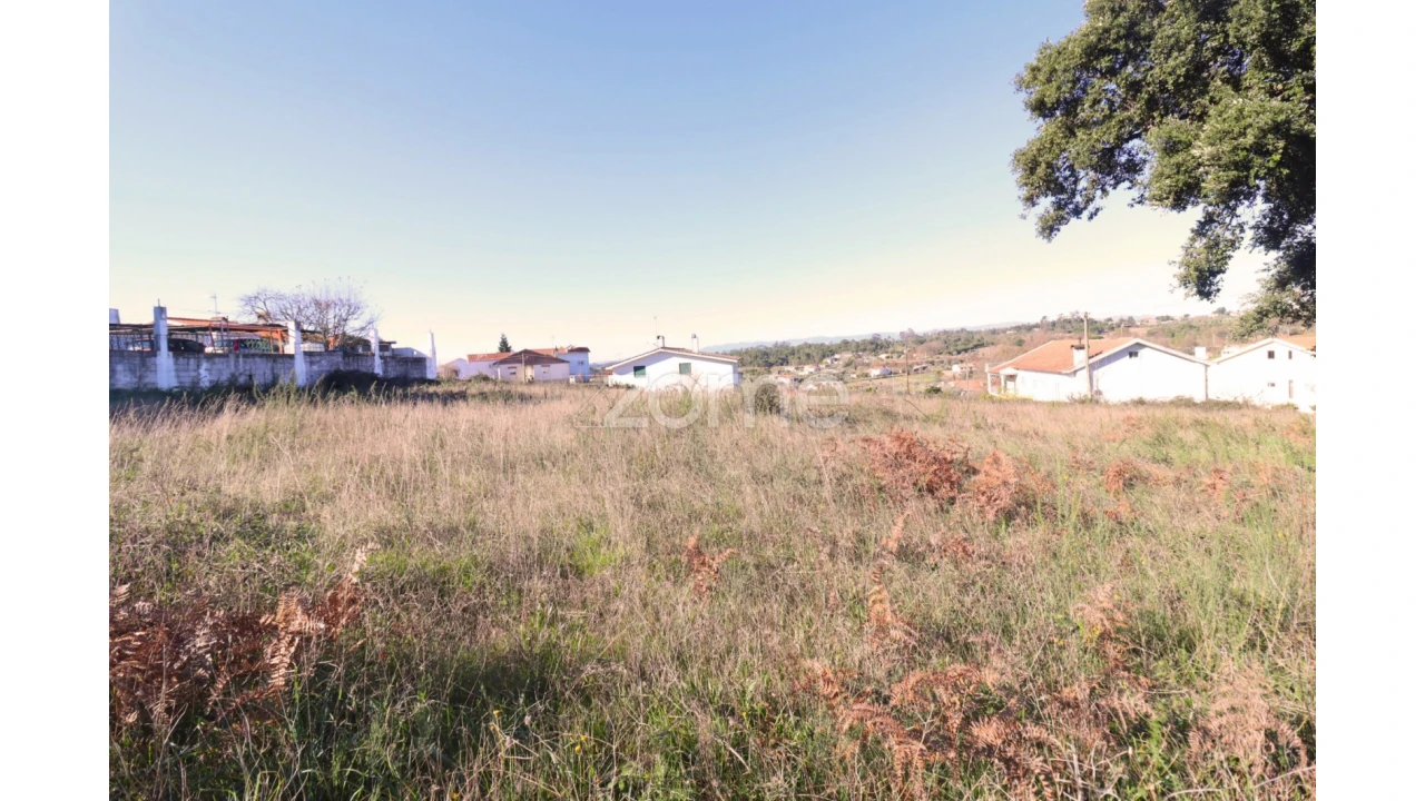 Terreno para Venda em Nelas Foto 1
