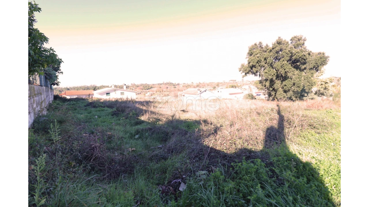 Terreno para Venda em Nelas Foto 8