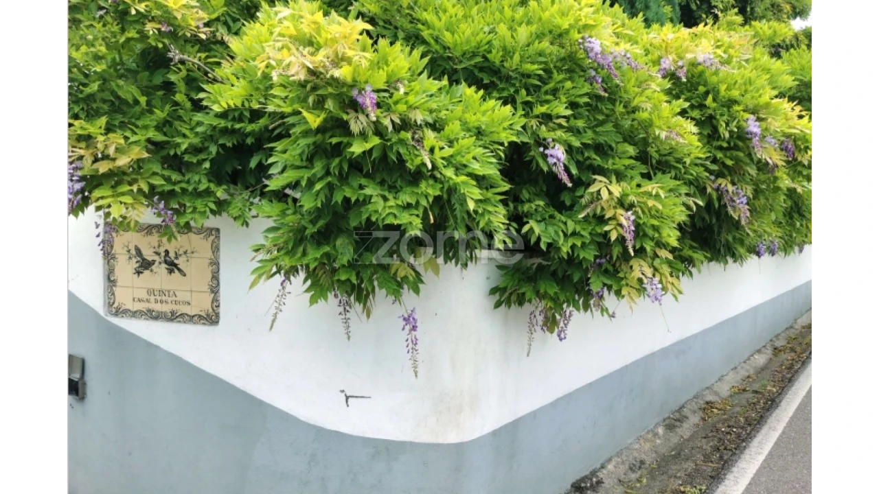 Quinta T5 para Venda em Águeda e Borralha Foto 40