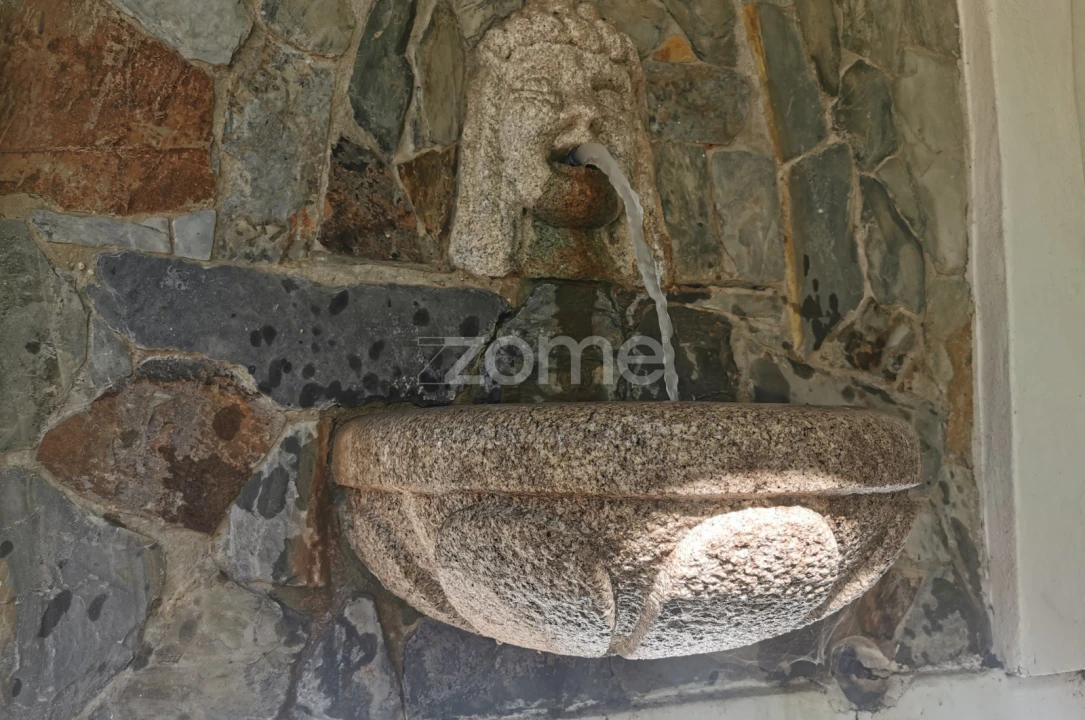 Quinta T5 para Venda em Águeda e Borralha Foto 67