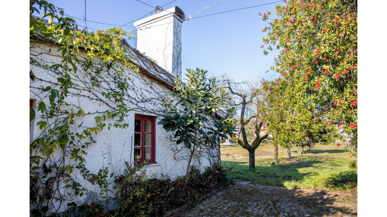 Quinta T5 para Venda em Águeda e Borralha Foto 56