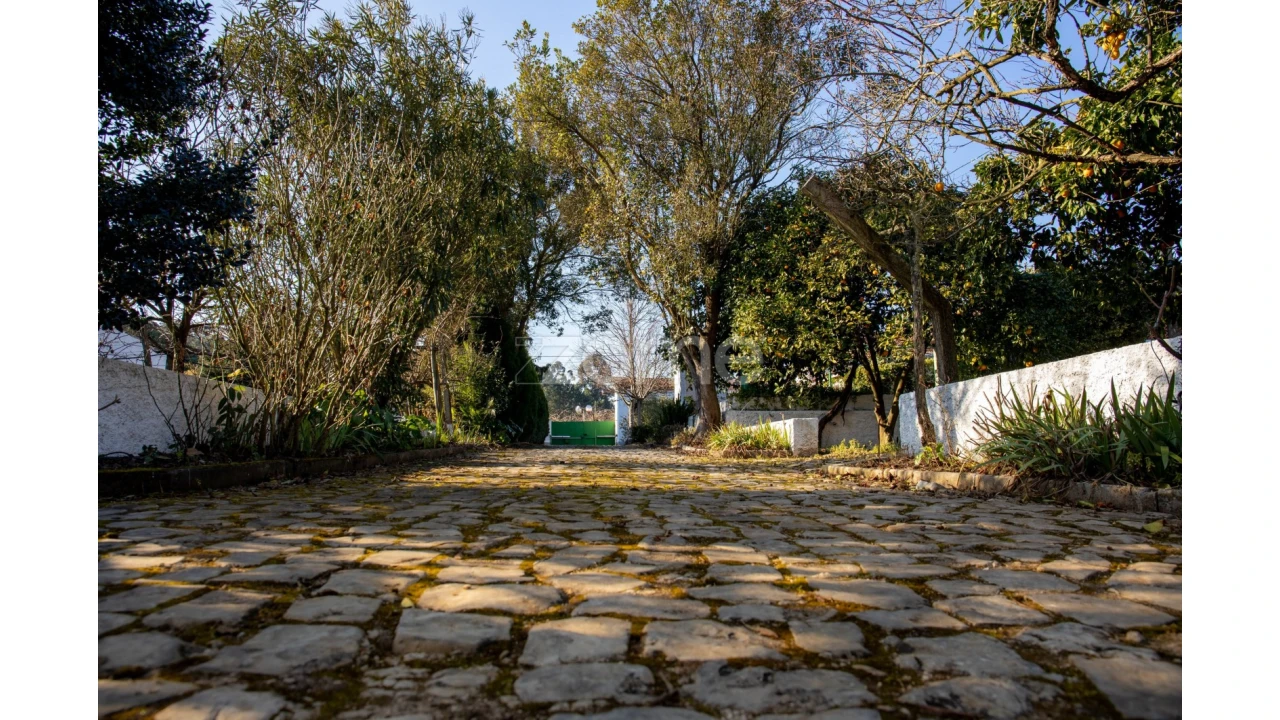 Quinta T5 para Venda em Águeda e Borralha Foto 74