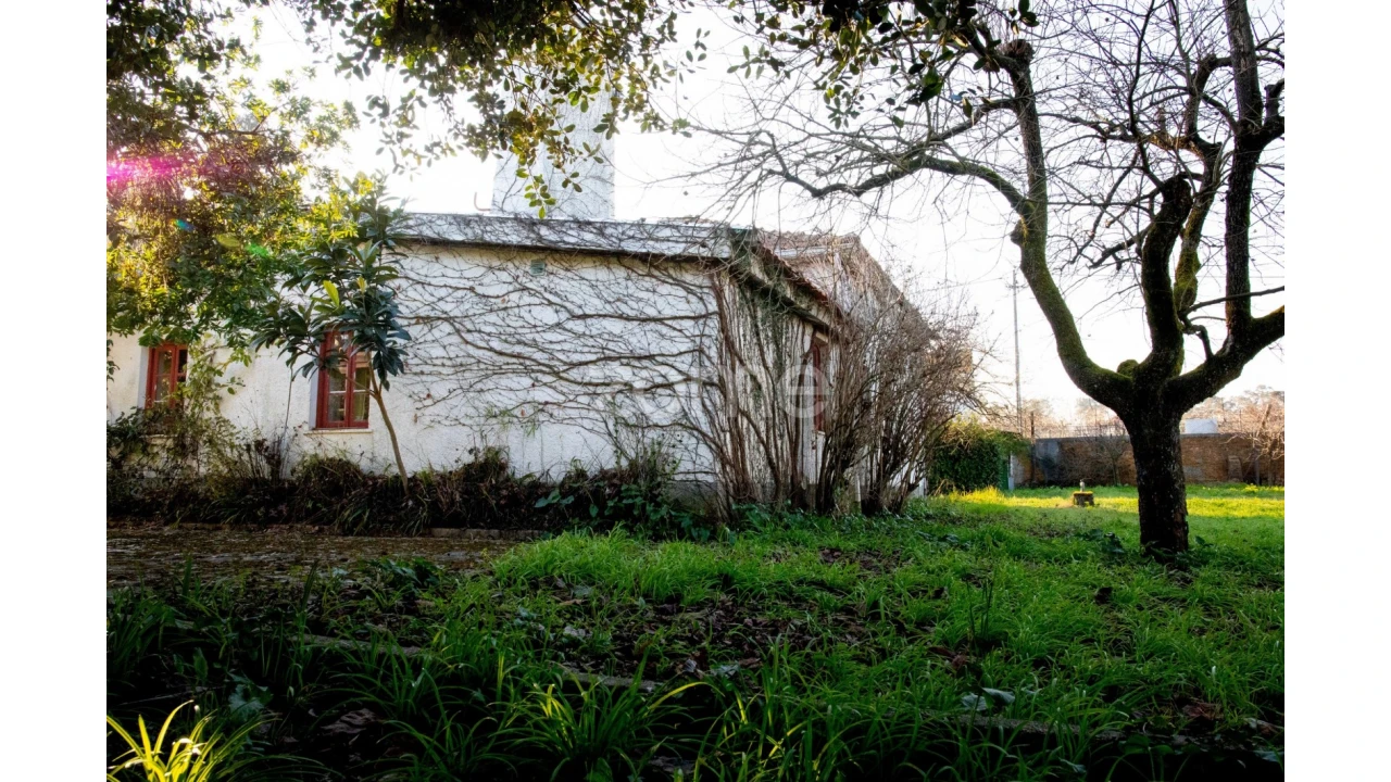 Quinta T5 para Venda em Águeda e Borralha Foto 59