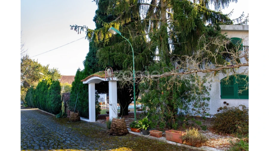 Quinta T5 para Venda em Águeda e Borralha Foto 41