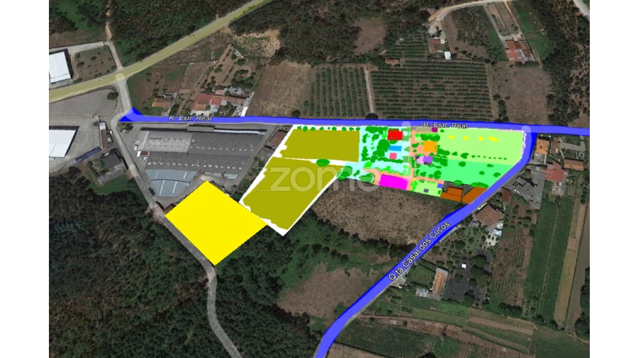 Quinta T5 para Venda em Águeda e Borralha Foto 4