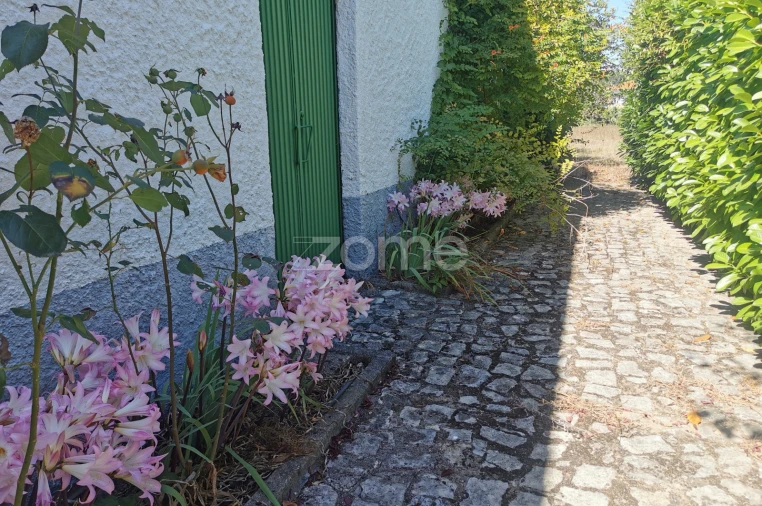Quinta T5 para Venda em Águeda e Borralha Foto 52