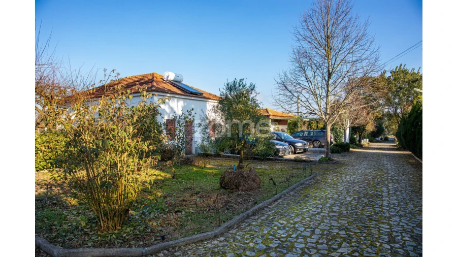 Quinta T5 para Venda em Águeda e Borralha Foto 53