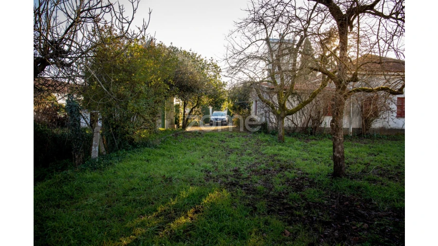 Quinta T5 para Venda em Águeda e Borralha Foto 60