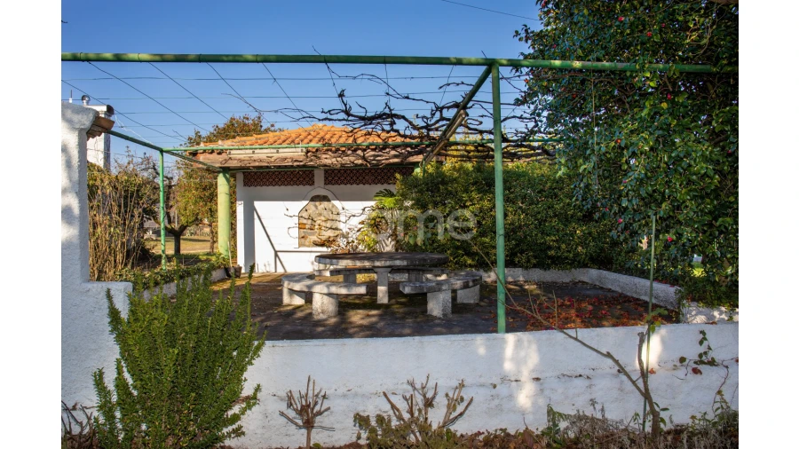 Quinta T5 para Venda em Águeda e Borralha Foto 69