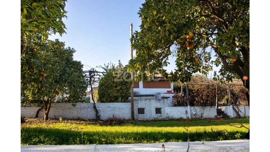 Quinta T5 para Venda em Águeda e Borralha Foto 72