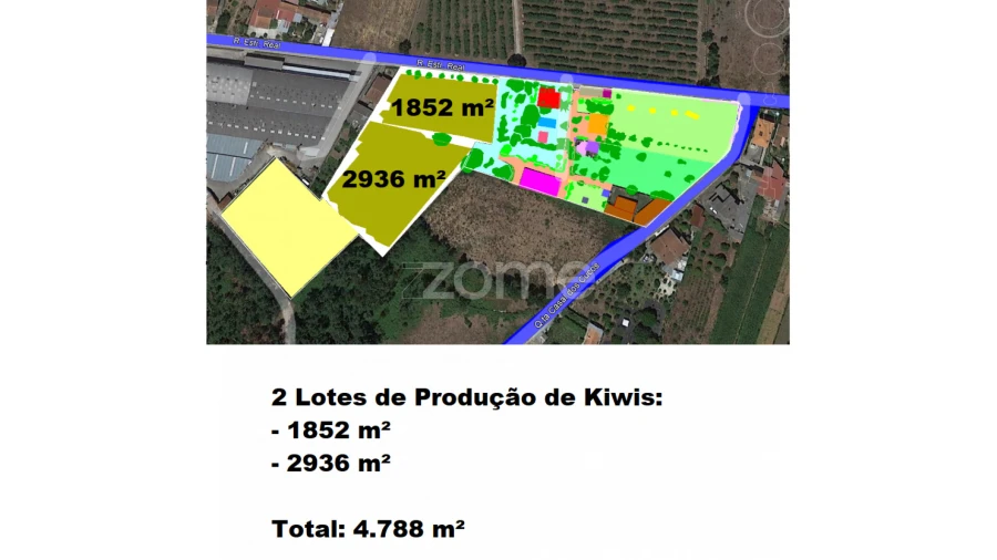 Quinta T5 para Venda em Águeda e Borralha Foto 8