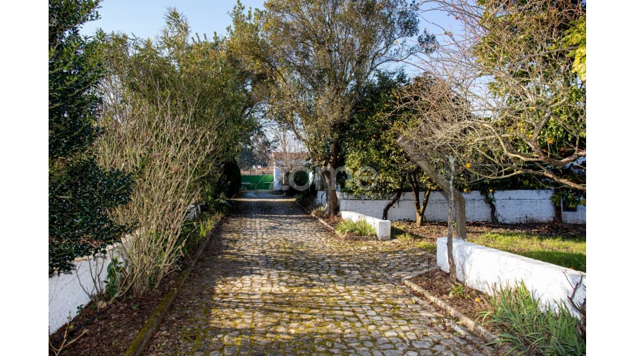 Quinta T5 para Venda em Águeda e Borralha Foto 73