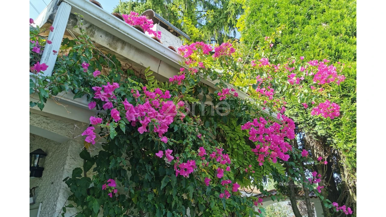 Quinta T5 para Venda em Águeda e Borralha Foto 3