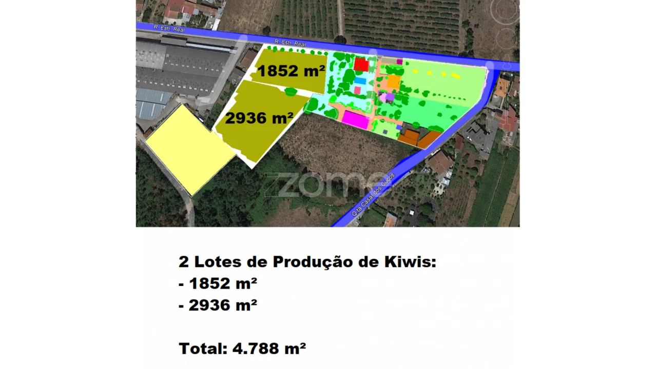 Quinta T5 para Venda em Águeda e Borralha Foto 8