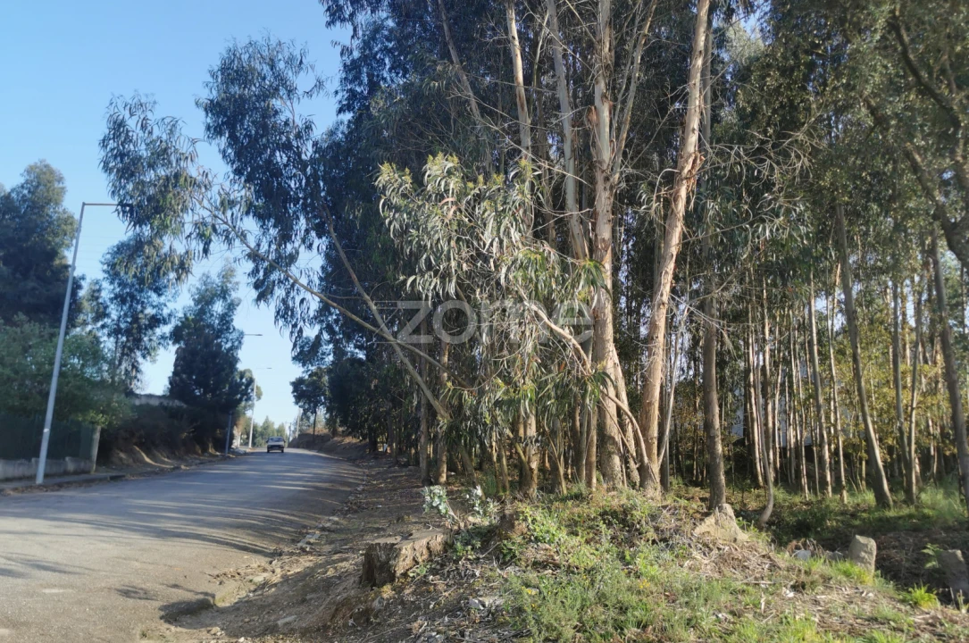 Terreno para Venda em Canelas Foto 13