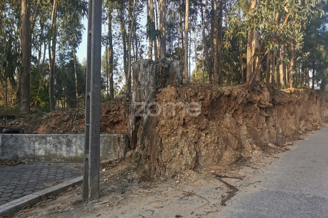 Terreno para Venda em Canelas Foto 19