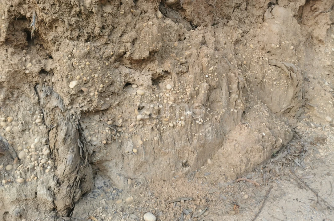 Terreno para Venda em Canelas Foto 23