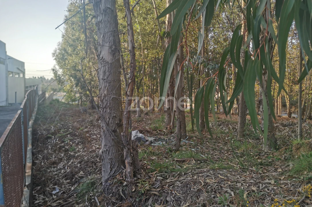 Terreno para Venda em Canelas Foto 27
