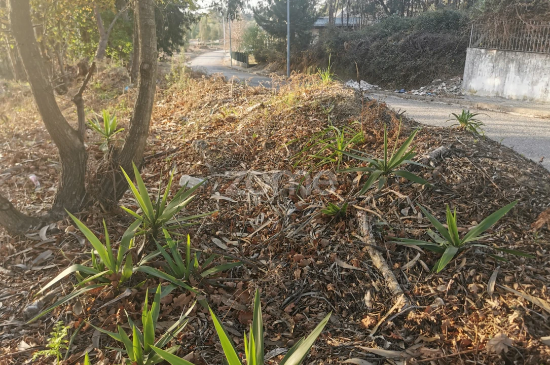 Terreno para Venda em Canelas Foto 30
