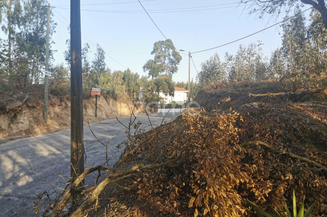 Terreno para Venda em Canelas Foto 32