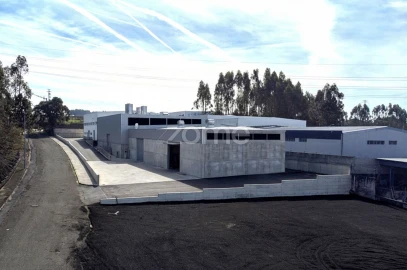 Terreno para Venda em Canelas