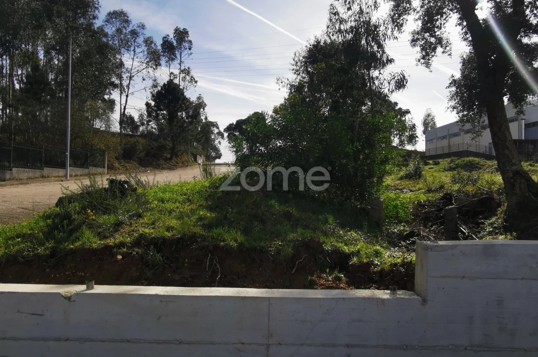 Terreno para Venda em Canelas Foto 32