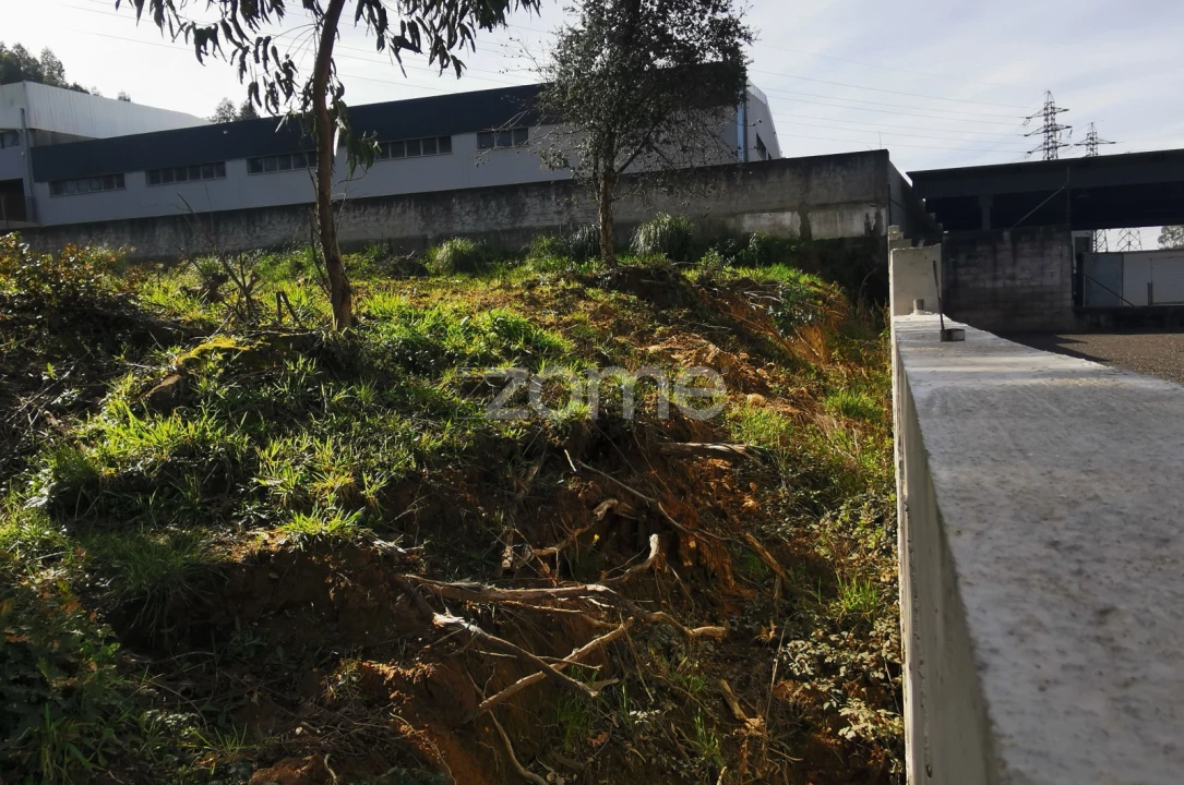 Terreno para Venda em Canelas Foto 12