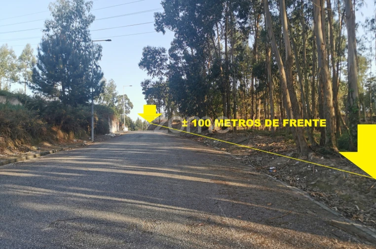 Terreno para Venda em Canelas Foto 5