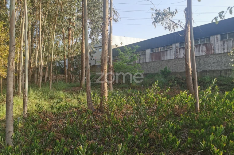 Terreno para Venda em Canelas Foto 15