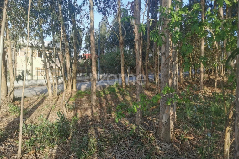 Terreno para Venda em Canelas Foto 17